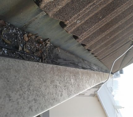 klif_dela_na_visini_ciscenja_jaskov